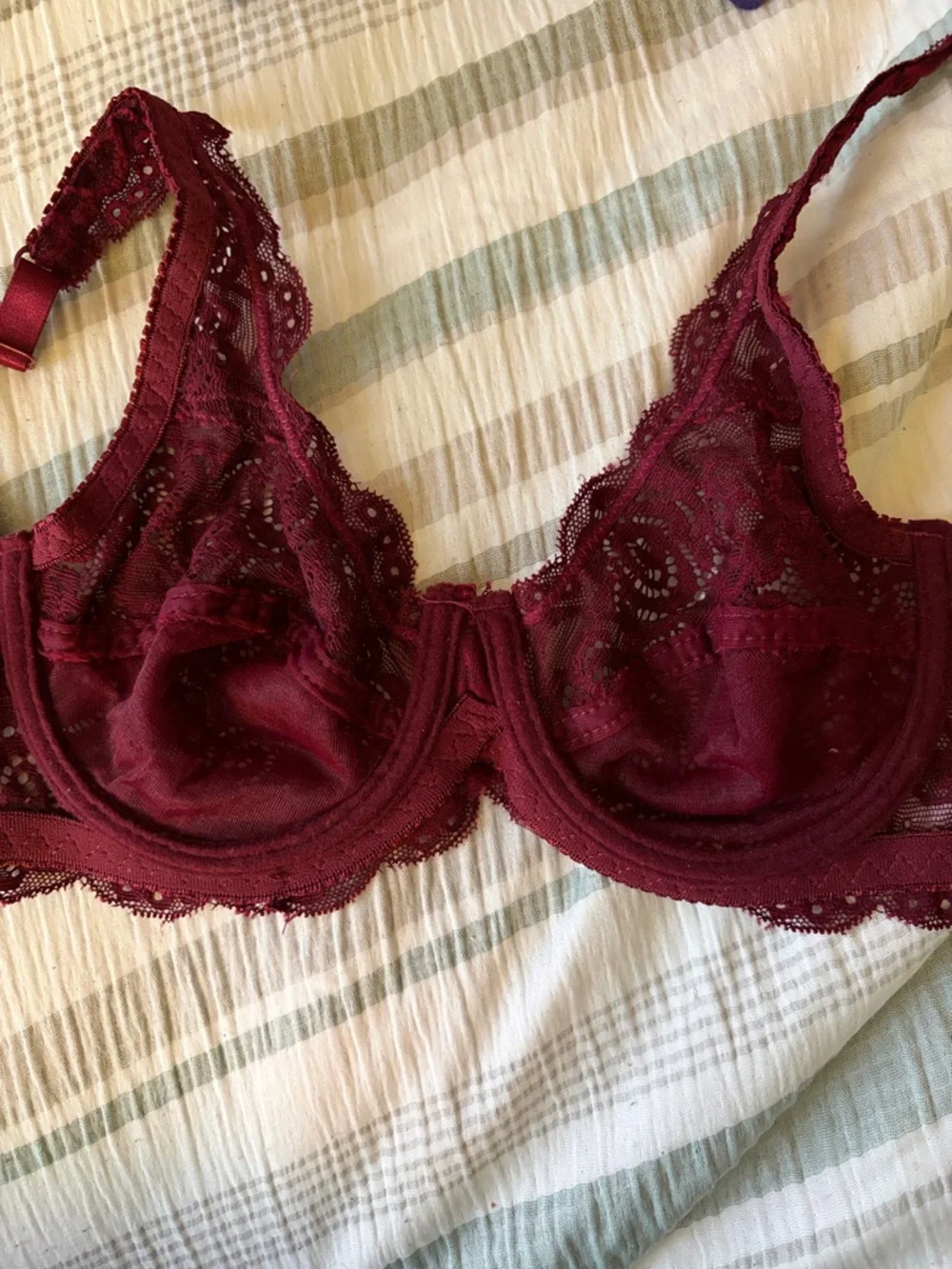 Rene Rofe Lace Bralette - Burgundy - Picture 4 of 4